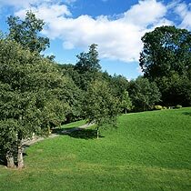 The Mill Bridgnorth Hotel Gardens